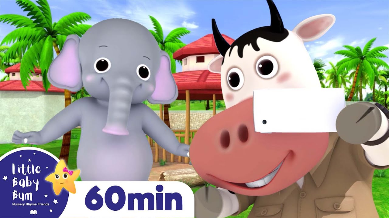 Funny Animals Song Best Baby Songs Nursery Rhymes for Babies