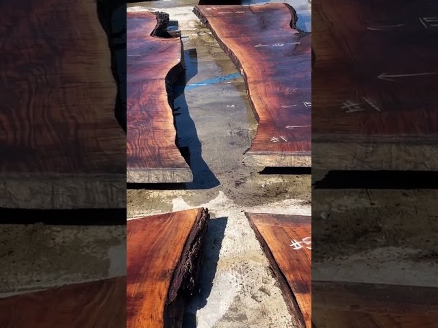#walnut #thelumberbaron #realgoodwood  #liveedge #slabs #after #liveedgewood #woodworking #wood