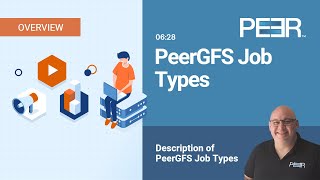 Description of PeerGFS Job Types