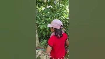 Thumbnail of Adekta Terlalu Jujur