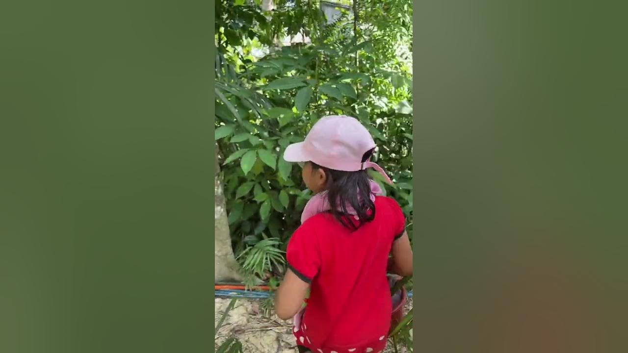 Adekta Terlalu Jujur Adekta Terlalu Jujur