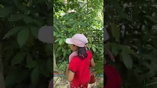 Adekta Terlalu Jujur