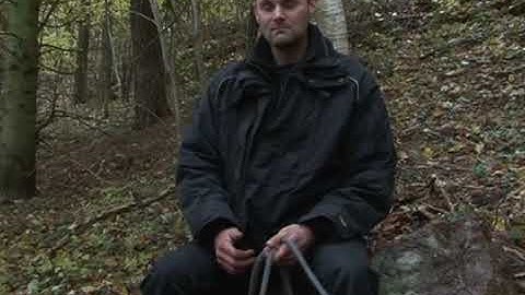 Sweden, the next truffle superpower?