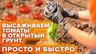 ТОП-2 СПОСОБА ВЫСАДКИ ТОМАТОВ В ОТКРЫТЫЙ ГРУНТ!