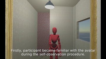 Study of full-body virtual embodiment using non-invasive brain stimulation and imaging
