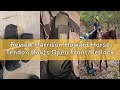 Review Harrison Howard Horse Tendon Boots Open Front/Fetlock Boot for Horse Protective Boots for Jum