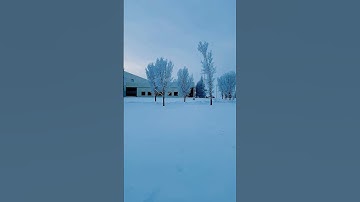 In to the śnow soøń☃️❄️   #snow  #weather #shortvideo #trending #life #nature #viralshort #viral #ai