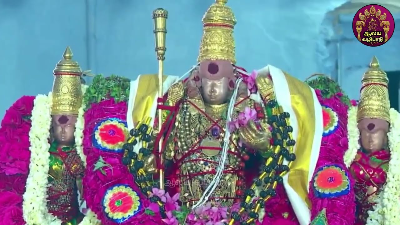 திருச்செந்தூர் ஸ்ரீ சுப்பிரமணிய சுவாமி திருக்கோயில் மாசி திருவிழா தெப்பத்திருவிழா