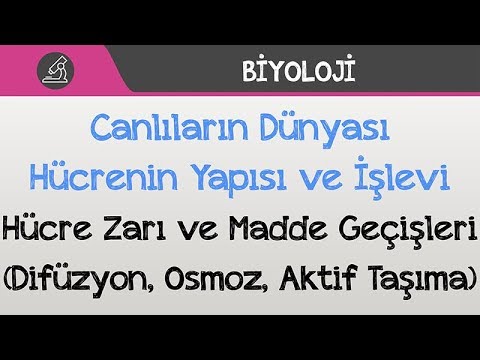 Hücre - Hücre Zarı ve Madde Geçişleri