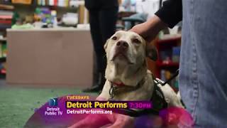 Detroit Performs Preview 7/4/17