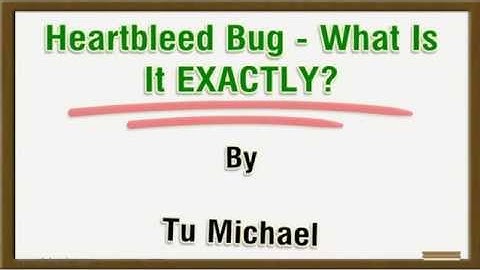 Heartbleed Bug -  What Is It EXACTLY?