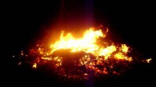 Leaf Fire + Backpack Blower Part 1