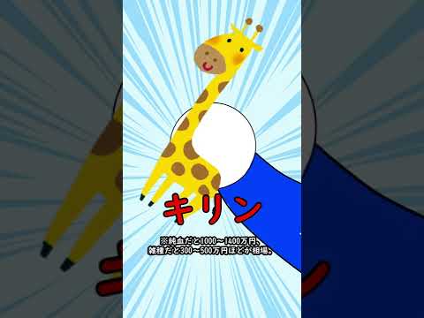 実は飼える動物が衝撃www #Shorts