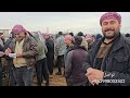 جوله جديده في اسواق المواشي في ادلب معره مصرين 6\\2\\2026 اسعار اللحم وغنم الجنيه والخراف السرحيه 