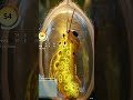The Most Beautiful Transformation in Nature 🦋 | Butterfly Life Cycle in 2 Minutes #butterflywings