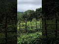 Andhra Pradesh 🏞️🌄 👍🏻👍🏻