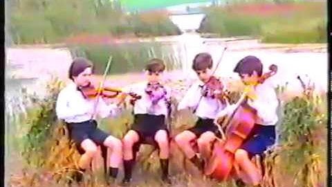 Tsintsadze String Quartet