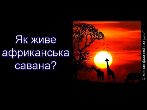 Як живе африканська савана?