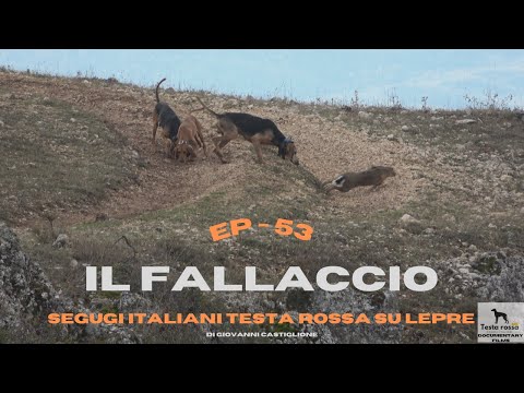 Video: I cacciatorpediniere sono navi da combattimento manovrabili ad alta velocità. Equipaggiamento militare