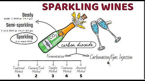 Sparkling wine: Basic concept and types/ sparkling wine making methods/ champagne vs sparkling wines - DayDayNews