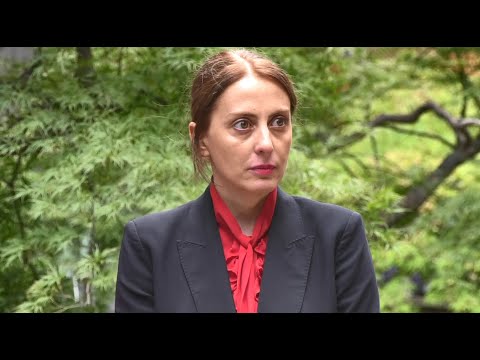 პოლიტიკური კრიზისის განმუხტვის გზა არის არჩევნები! არა რევოლუცია და პარლამენტთან სიმღერა - დეკანოიძე