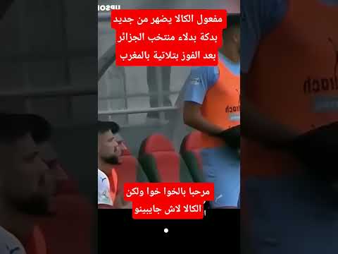 مفعول الكالا يضهر من جديد بدكة بدلاء منتخب الجزائر بعد الفوز بتلاتية بالمغرب  