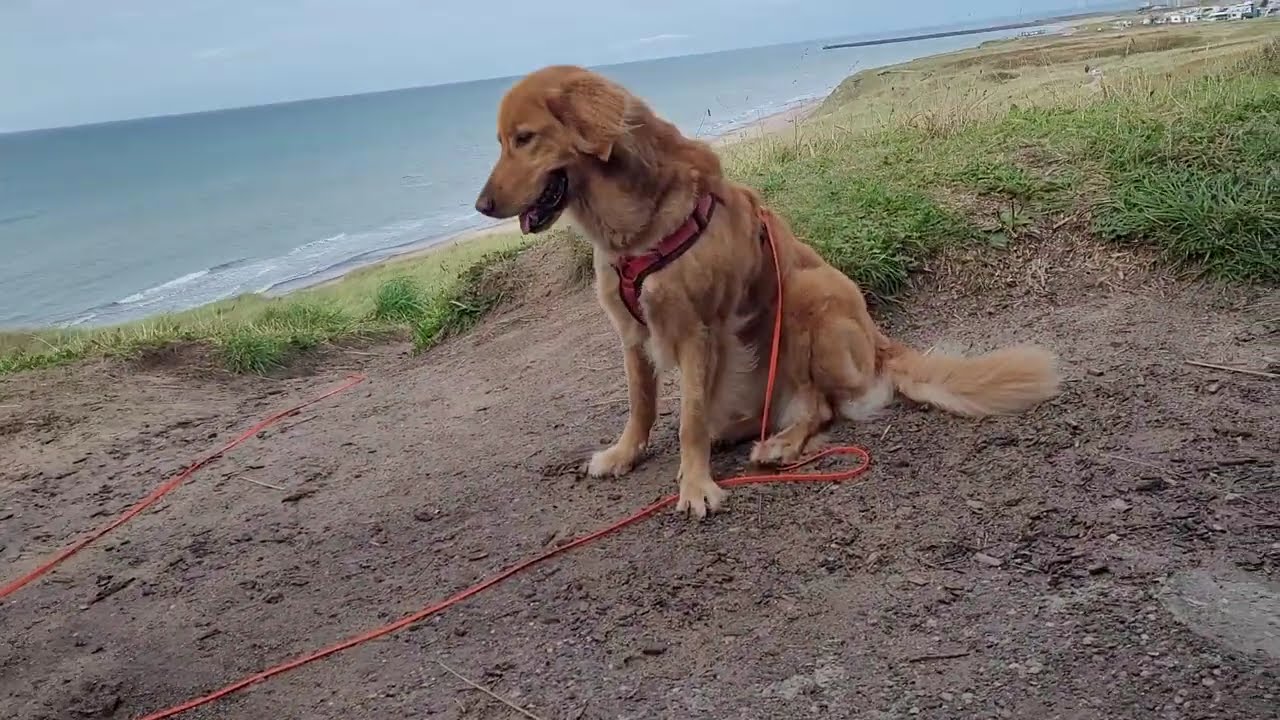 Walk with me! To a second world war site 