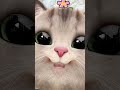 heyy bhagwan 🫣🫣#cutekittyworld#catvideos#viralvideo#trendingreels#funny#reelitfeelit#selfobessed