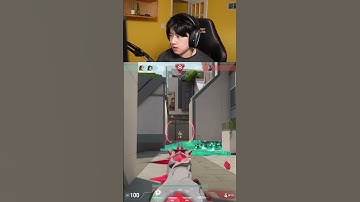 YOU have been using skye dog wrong...