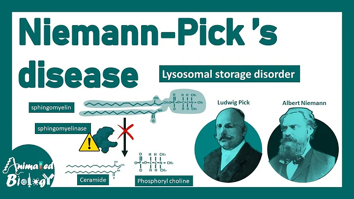 Niemann-Pick disease | signs and symptoms of Niemann-Pick disease | Diagnosis and treatment