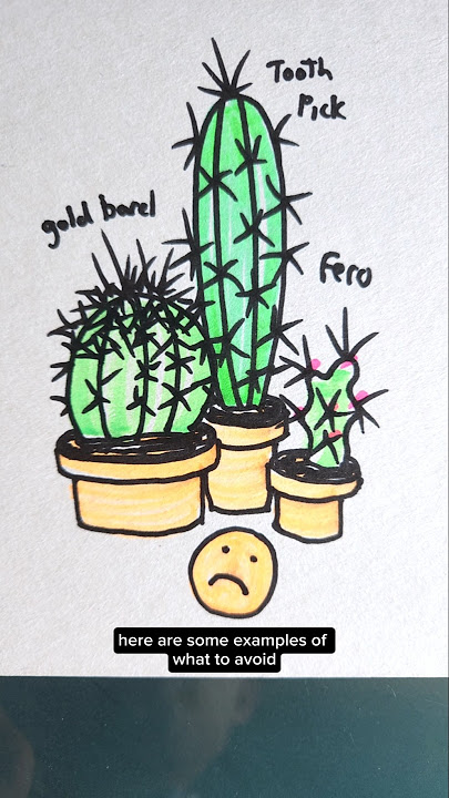 cactuses cactus cacti whatever you call them are usually not good for feng shui, heres how to choose