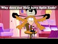 Understanding Split Ends