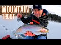 Rapala slab rap rainbow trout ice fishing
