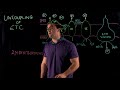 Electron Transport Chain and Uncoupling