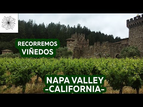 Video: ¿Cuánto cuesta un viñedo en California?