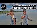 SpinnerBAIT & CHATTERbait für HECHTE 🎣❤️ Laute Köder für trübes Wasser