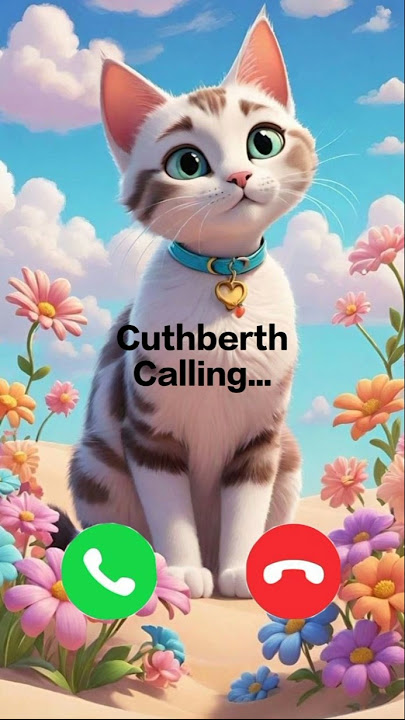 Cuthberth calling 🤙🏻✨ #ringtone #cat #calling #cute #foryou #trending #youtube #youtubeshorts #viral