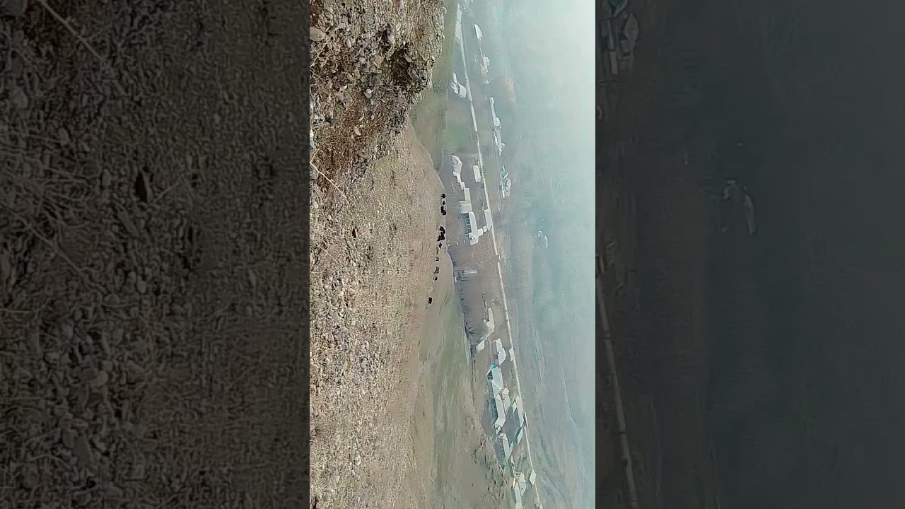 2 января 2026 г.