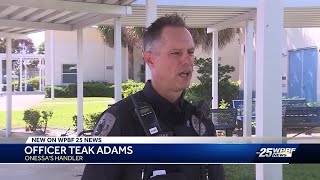 Meet the PBC school K9s