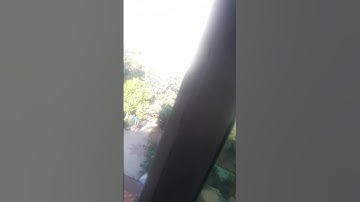 #محمد عارف العسلي برواية حفص عن الولايات المتحدة في