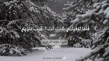 تلاوة خاشعة من سورة المائدة للشيخ محمد الغزالي