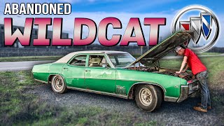 FORGOTTEN Buick Wildcat! Will It RUN and ROADTRIP After 21 Years?