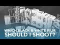 Black & White Film Guide, Shootout, and Comparison - 35mm, 400 ISO