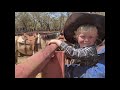 Mt Elizabeth Cattle Station 2018 Update Video