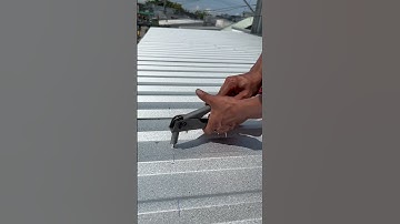 rút river bắn tôn