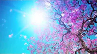 Snatam Kaur ~ Long Time Sun (Children's Version) Snatam Kaur ~ Long Time Sun (Children's Version)