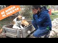 2 Formas Efectivas De Ahuyentar Gatos Y Perros Del Huerto y Jardín/ manos de tierra