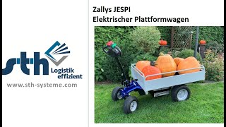 Zallys Jespi - By Sth-Systeme