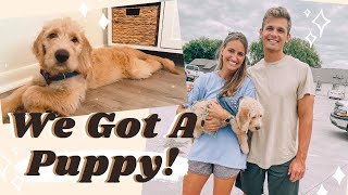 WE GOT A PUPPY! MEET LEWIS :) | VLOG
