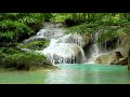 Calming Deep Forest Stream. Relaxing Nature Sounds, Mountain Stream. 10 hours, White Noise for Sleep